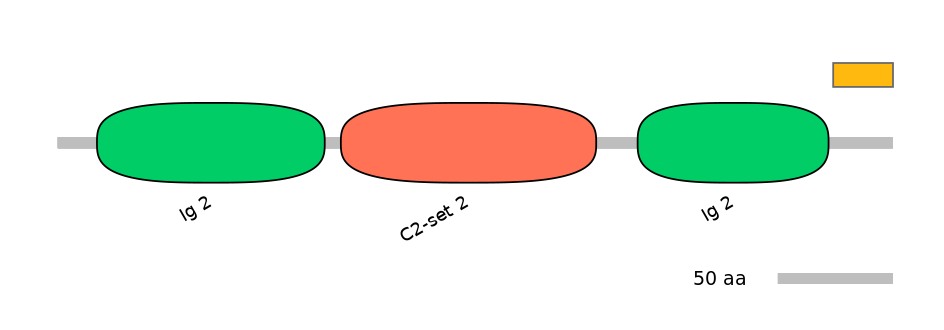 HsaALTD0000196-1_2-EXC