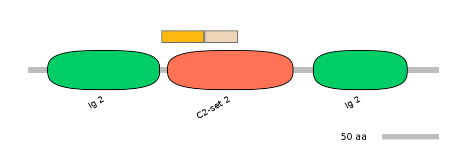 HsaALTD0000198-1_2-EXC