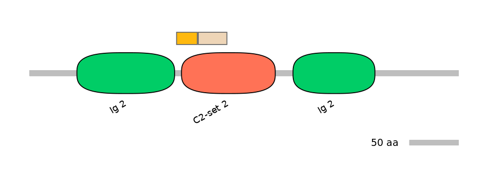 HsaALTD0000198-2_2-EXC