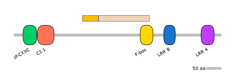 HsaALTD0002496-1_3-EXC