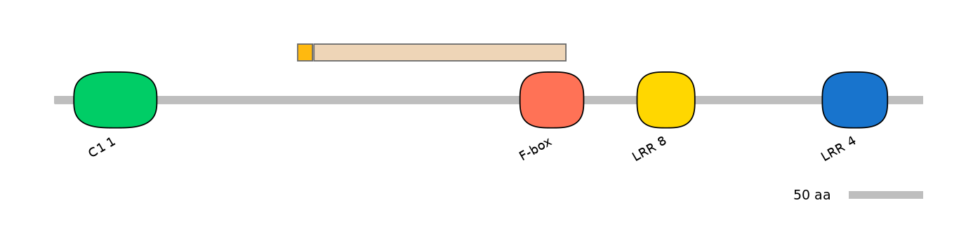 HsaALTD0002496-2_3-EXC