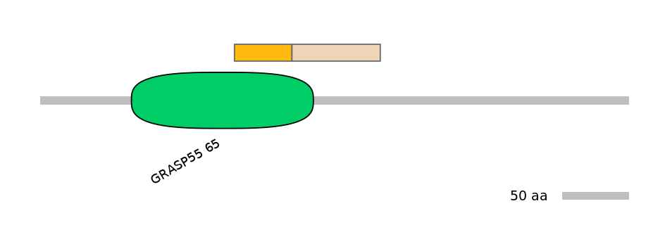 HsaALTD0002836-1_2-EXC