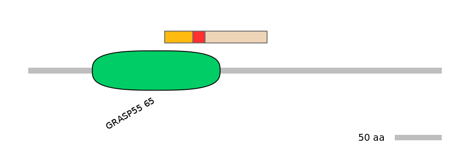 HsaALTD0002836-2_2-INC