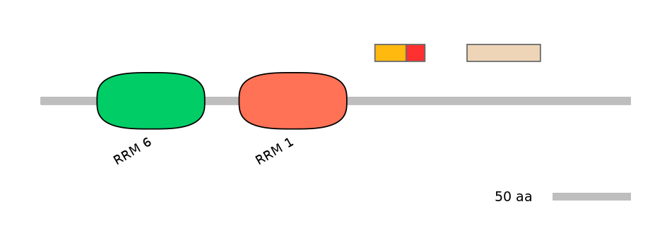 HsaALTD0003081-2_3-EXC