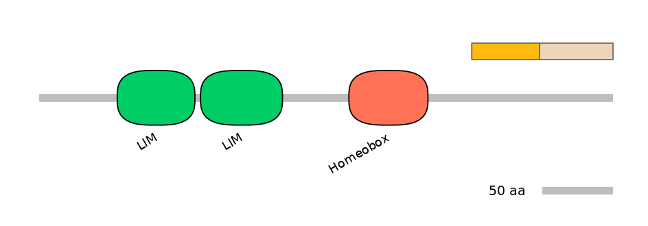 HsaALTD0003627-1_2-INC
