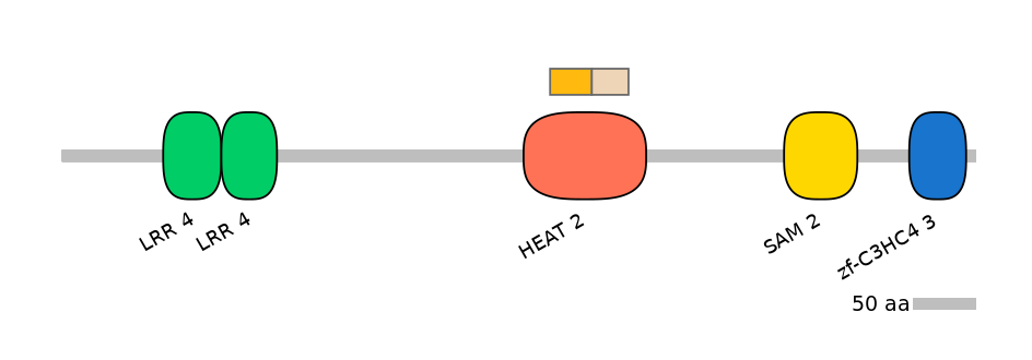HsaALTD0003668-2_2-EXC