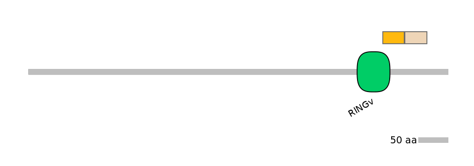 HsaALTD0003778-1_2-INC