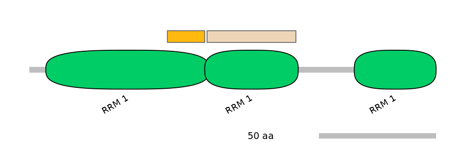 HsaALTD0004534-1_2-INC