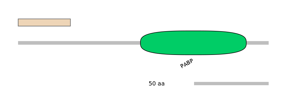 HsaALTD0004539-1_2-EXC
