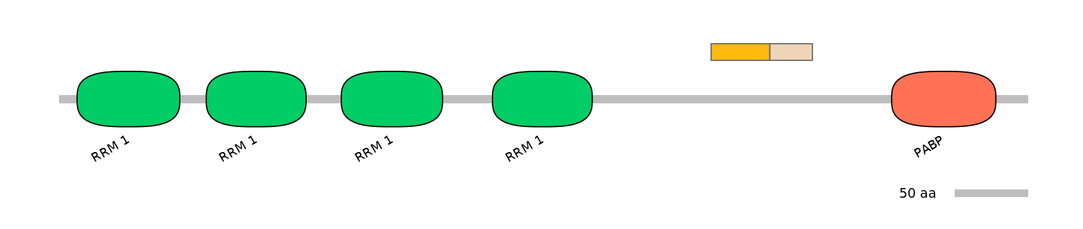HsaALTD0004541-1_2-EXC