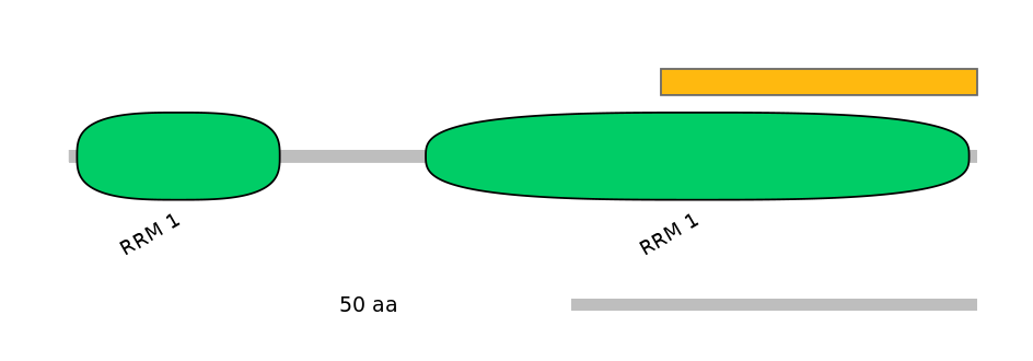 HsaALTD0004542-1_2-EXC