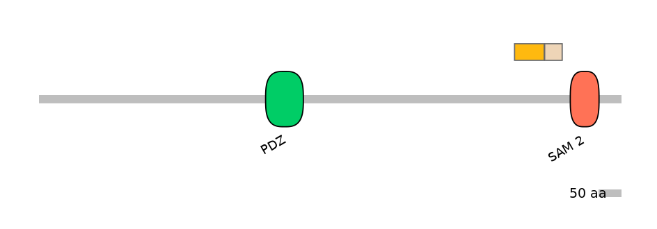 HsaALTD0005001-2_2-EXC