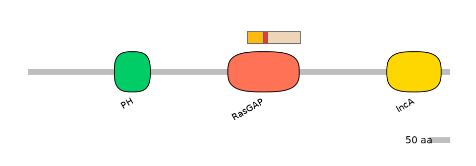 HsaALTD0005308-2_2-INC