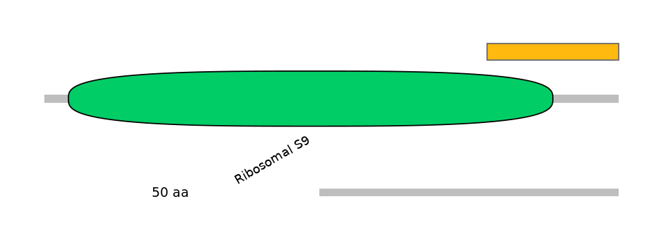 HsaALTD0005538-2_2-EXC