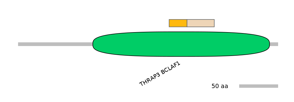 HsaALTD0005627-2_2-EXC