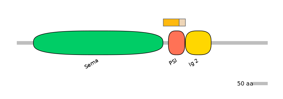 HsaALTD0005762-1_2-INC