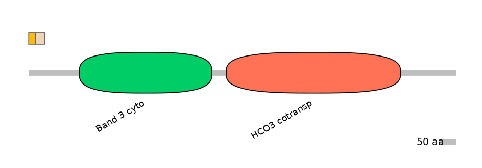 HsaALTD0006038-1_2-EXC