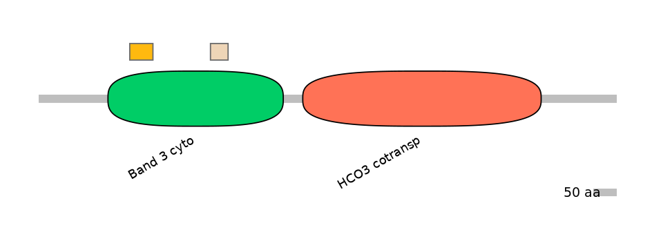 HsaALTD0006039-2_2-EXC