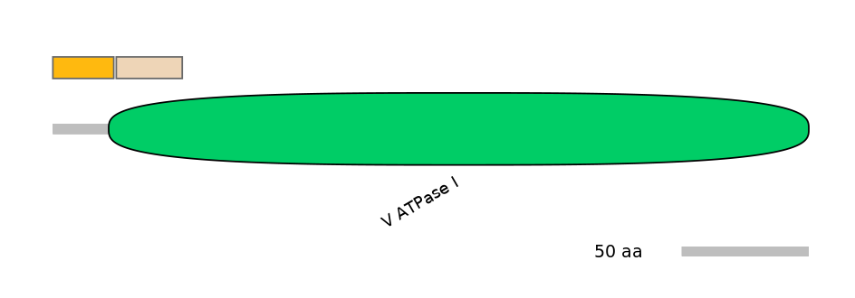 HsaALTD0006441-2_2-EXC