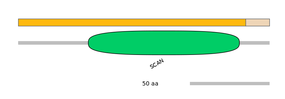 HsaALTD0007382-1_2-EXC