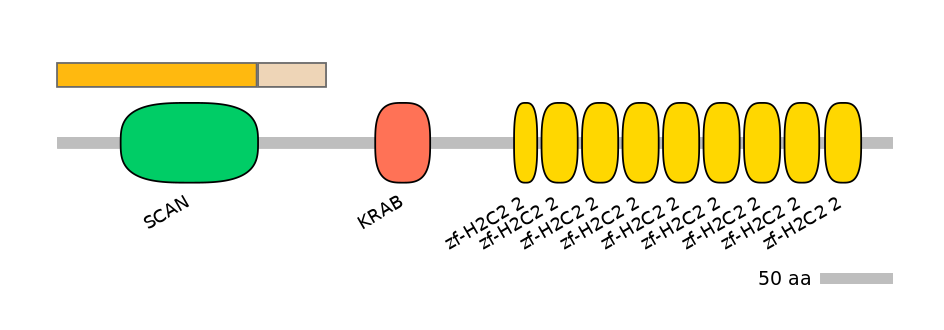 HsaALTD0007382-1_2-INC