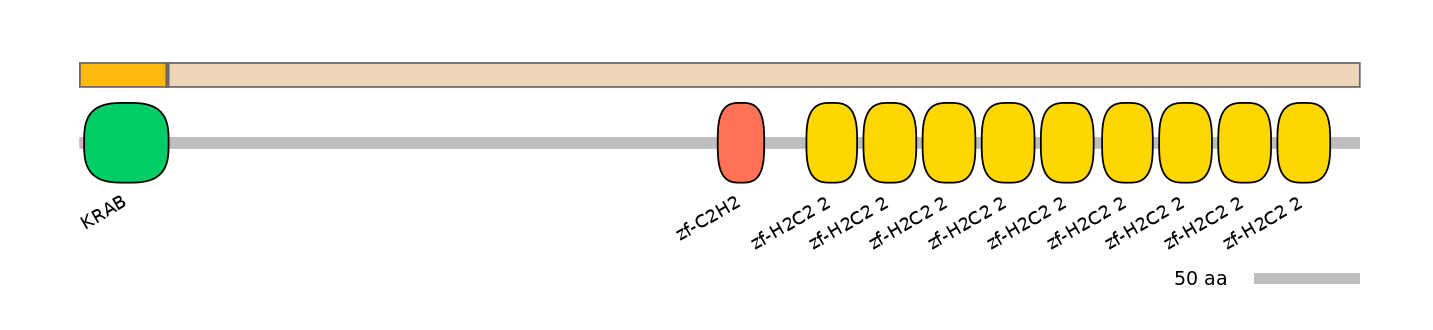 HsaALTD0007389-2_3-EXC