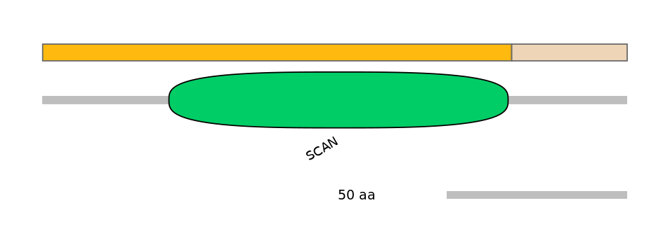HsaALTD0007455-1_2-EXC