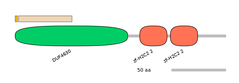 HsaALTD0007506-1_2-INC