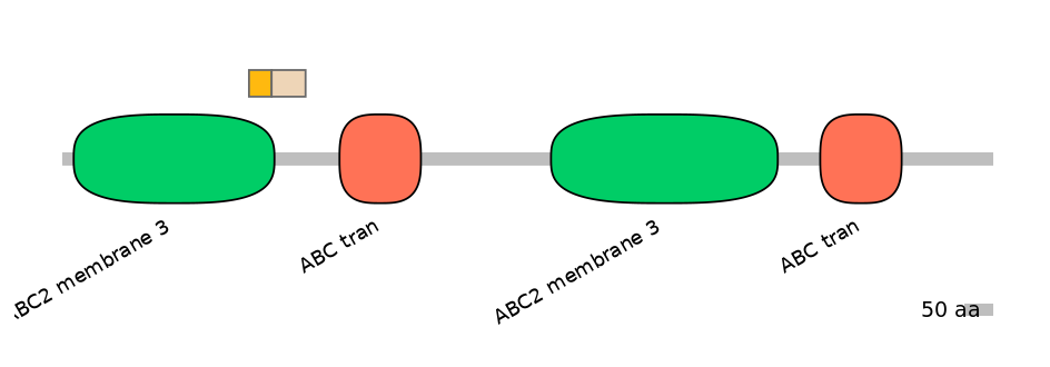 HsaEX0000263-EXC