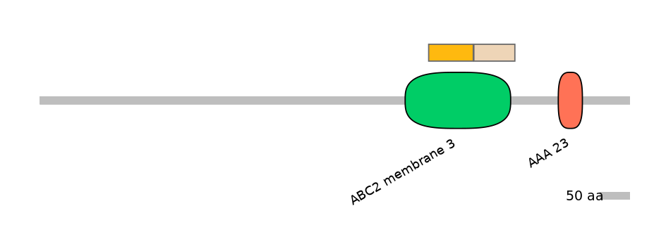 HsaEX0000264-EXC