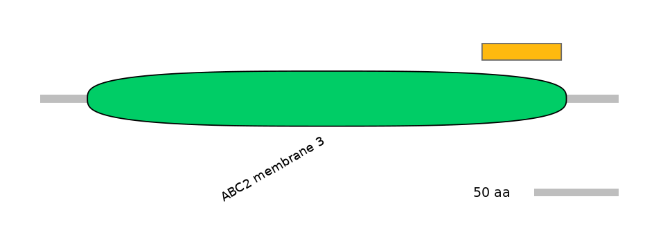 HsaEX0000267-EXC