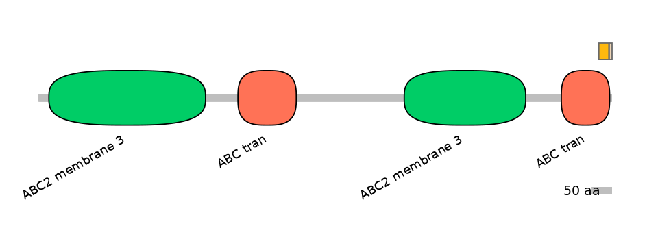 HsaEX0000330-EXC