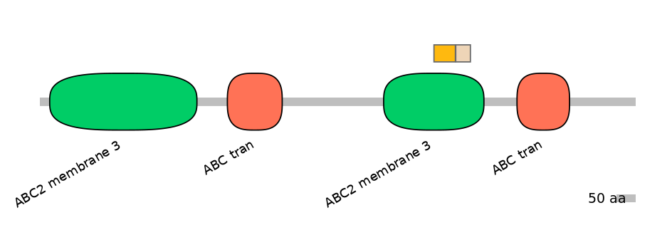 HsaEX0000331-EXC