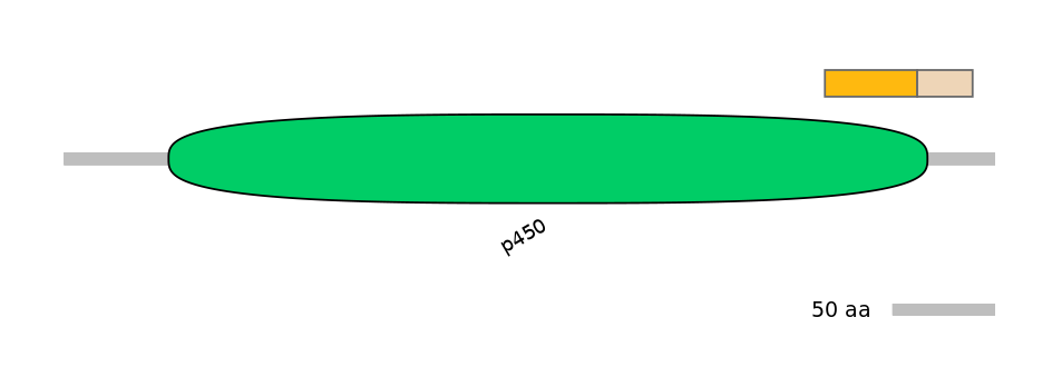 HsaEX0000869-EXC