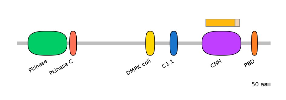 HsaEX0003522-EXC