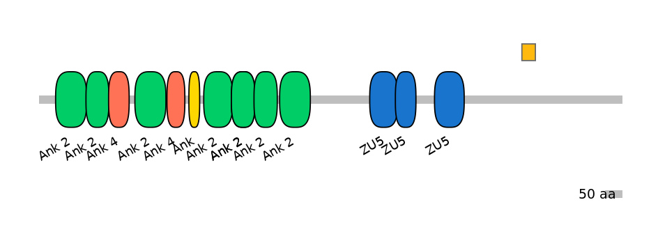 HsaEX0004137-EXC