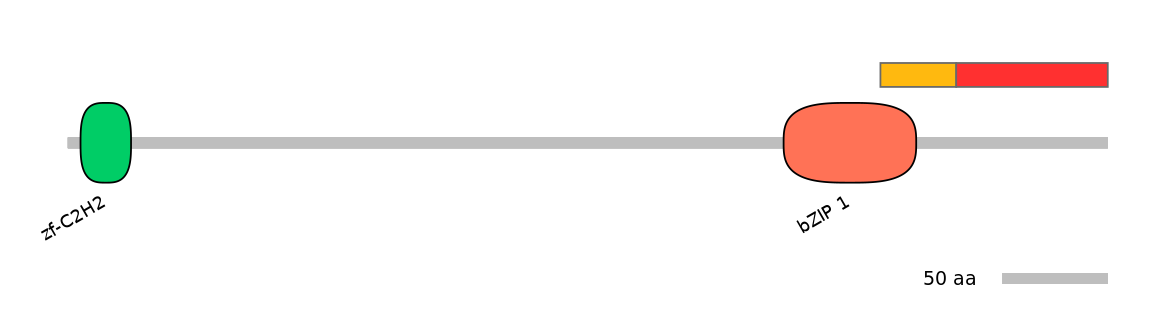 HsaEX0006515-INC