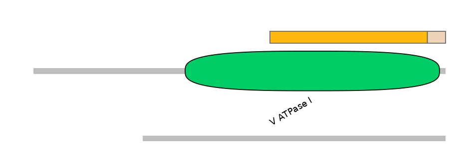 HsaEX0006963-EXC