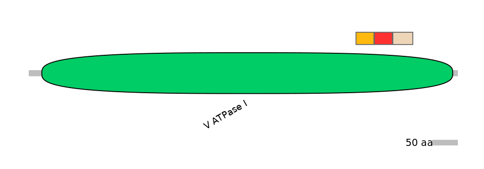 HsaEX0006965-INC
