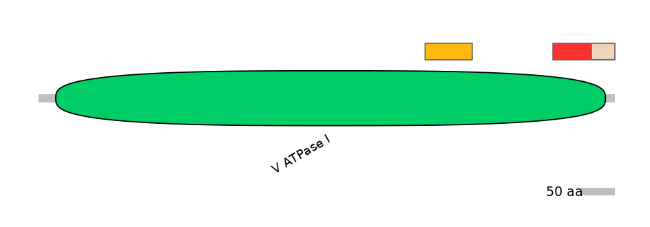 HsaEX0006973-INC