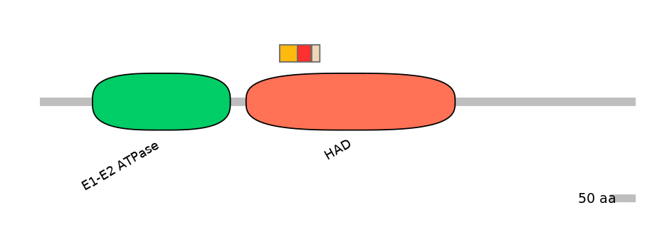 HsaEX0007054-INC