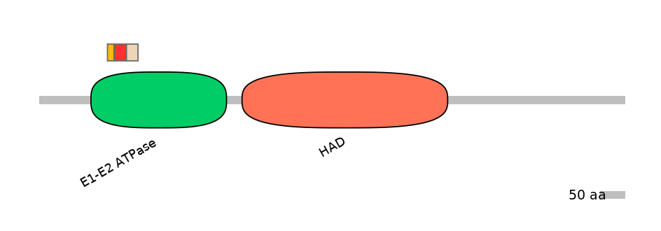 HsaEX0007060-INC