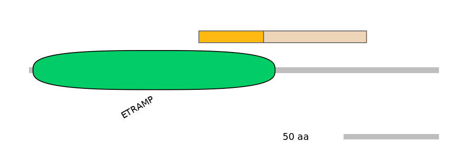 HsaEX0009927-EXC