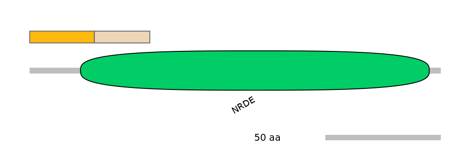 HsaEX0010606-EXC
