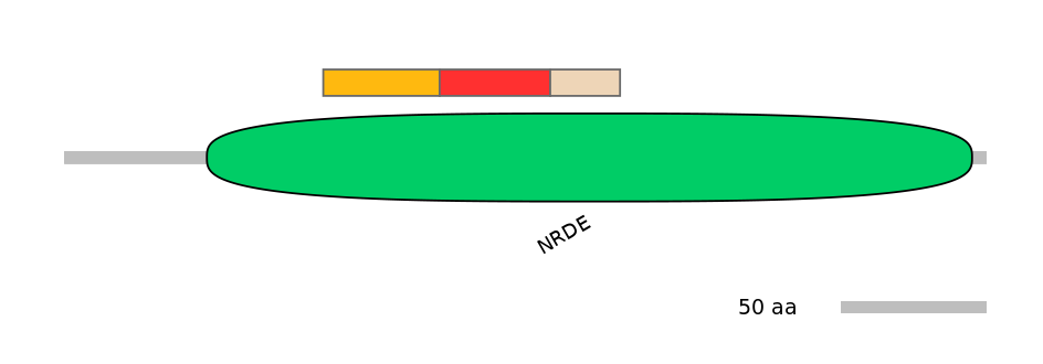 HsaEX0010606-INC