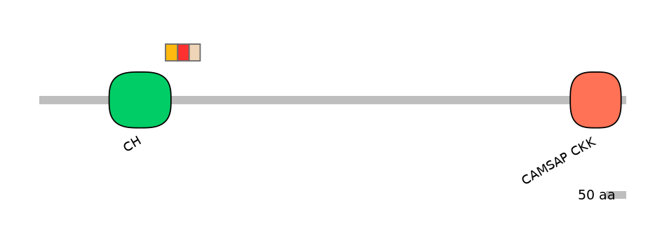 HsaEX0012287-INC