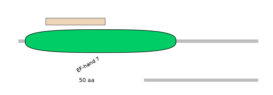 HsaEX0012356-EXC