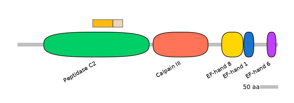 HsaEX0012366-EXC