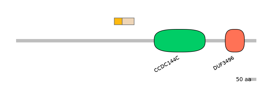 HsaEX0013051-EXC