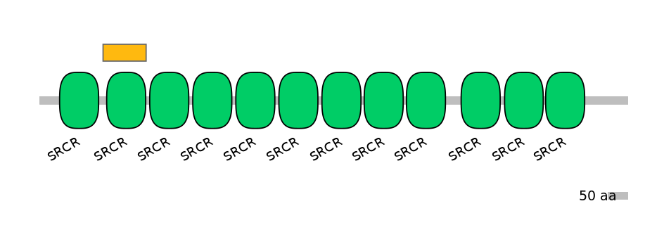 HsaEX0013760-EXC